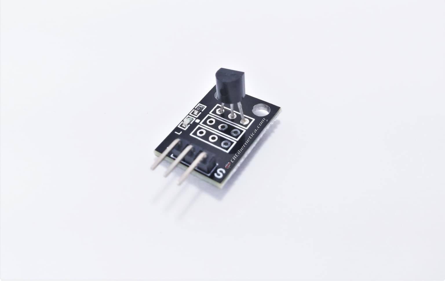 DS18B20 1-Wire Digital Thermometer · imagen 1