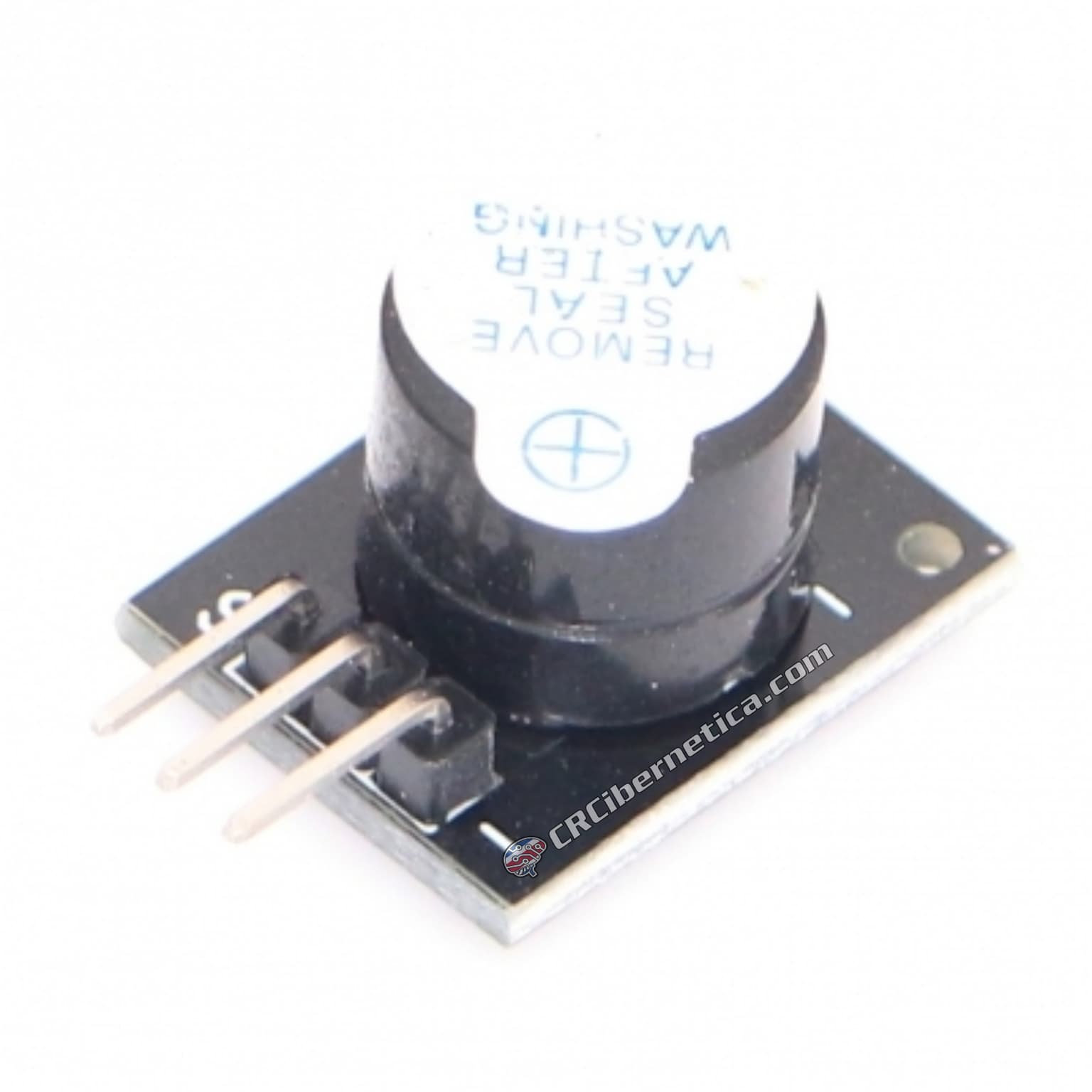 Buzzer Module
